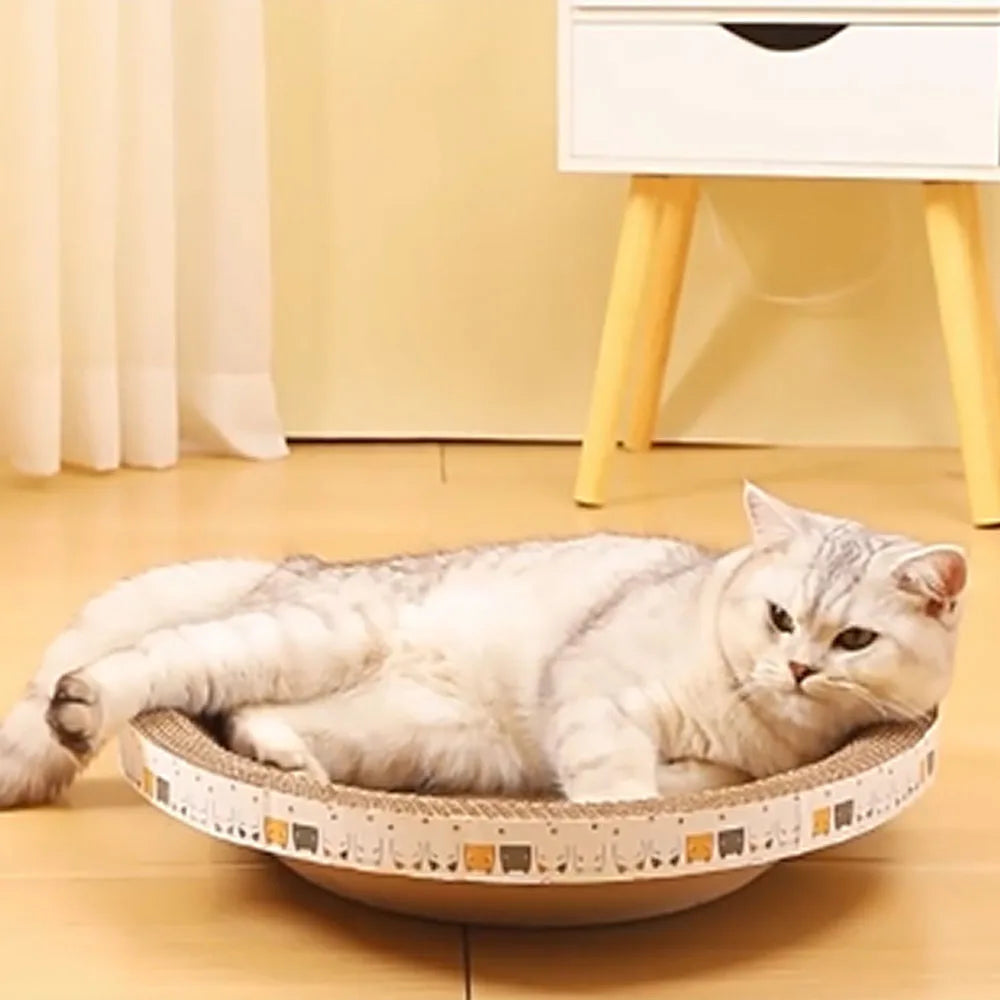 Cat toy