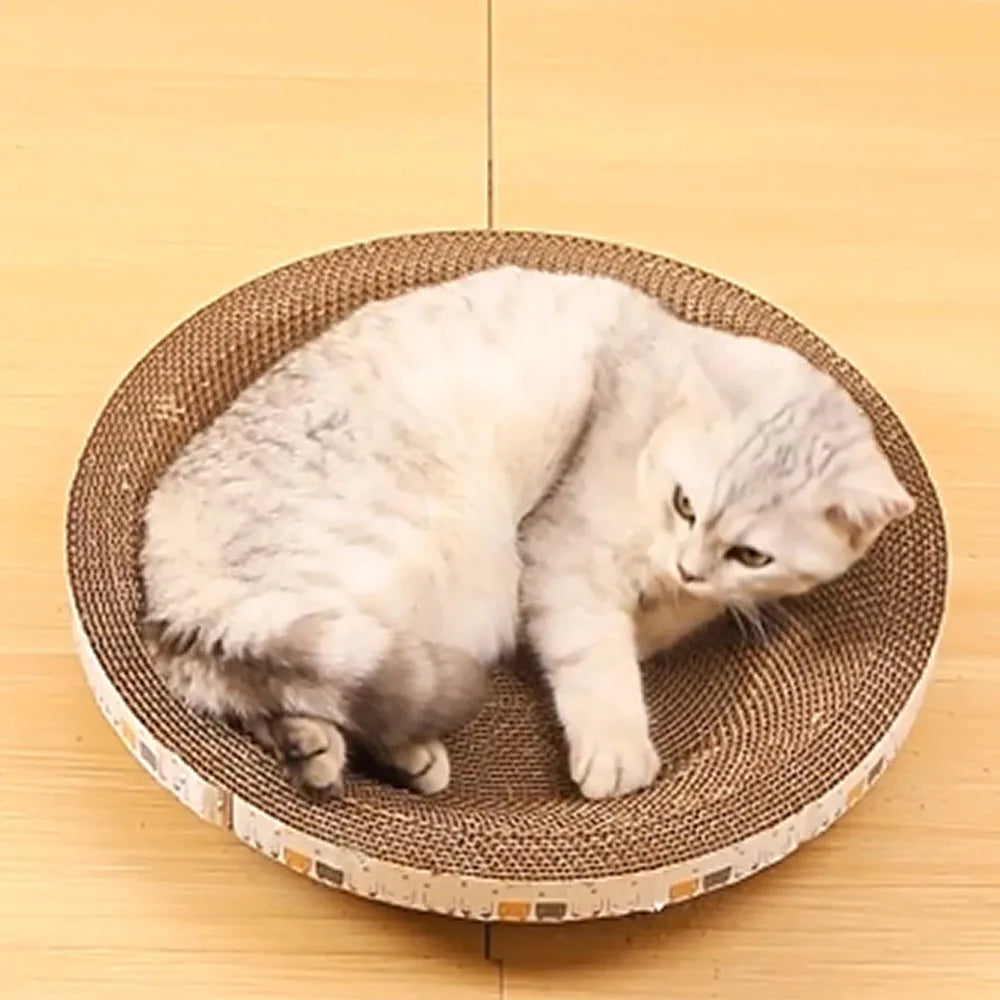 Cat toy