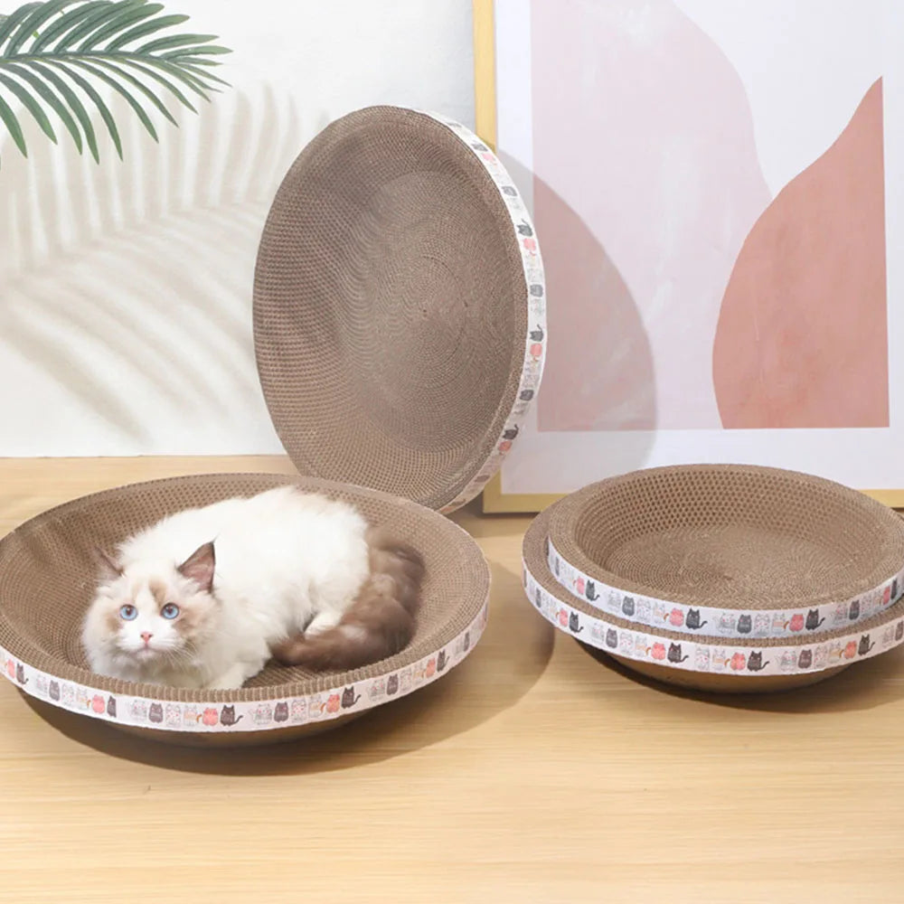 Cat toy